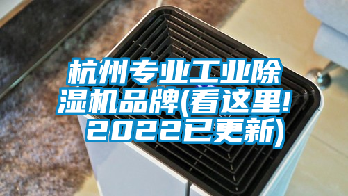 杭州專業工業麻豆视频免费看品牌(看這裏! 2022已更新)