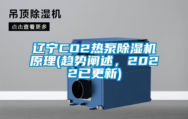 遼寧CO2熱泵麻豆视频免费看原理(趨勢闡述，2022已更新)