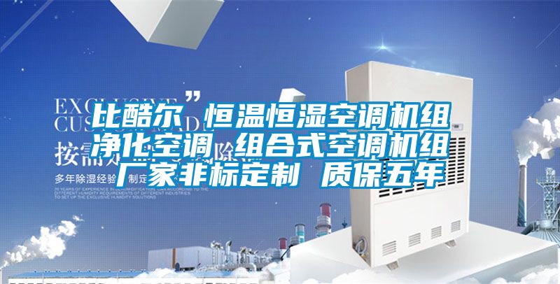 比酷爾 恒溫恒濕空調機組 淨化空調 組合式空調機組 廠家非標定製 質保五年