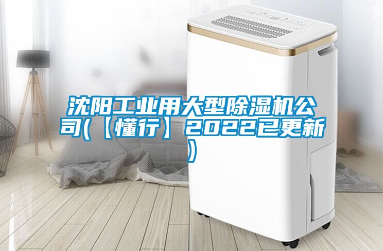 沈陽工業用大型麻豆视频免费看公司(【懂行】2022已更新)