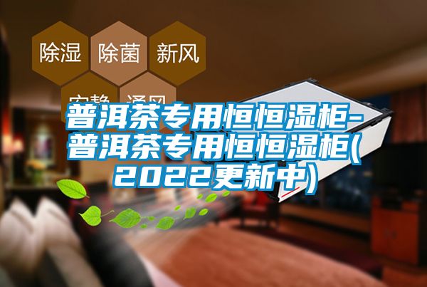 普洱茶專用恒恒濕櫃-普洱茶專用恒恒濕櫃(2022更新中)