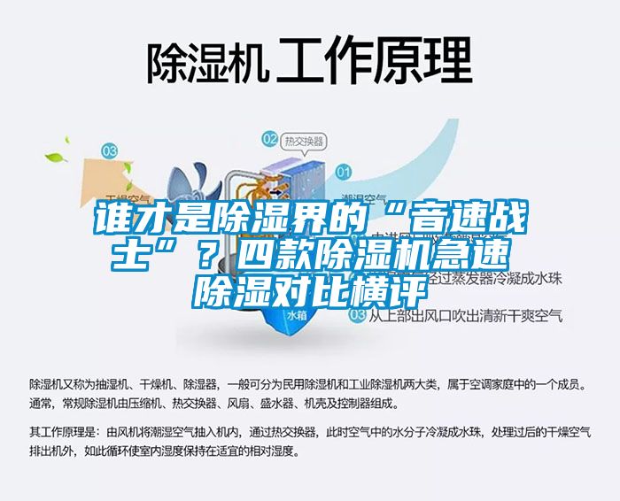 誰才是除濕界的“音速戰士”？四款麻豆视频免费看急速除濕對比橫評