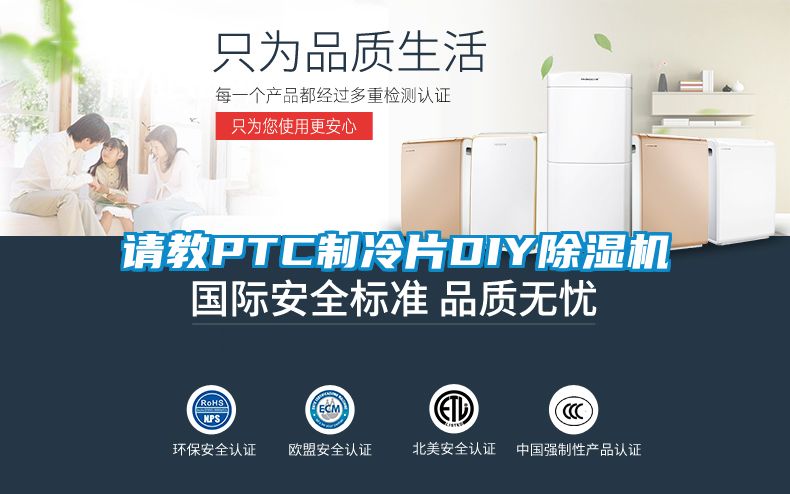 請教PTC製冷片DIY麻豆视频免费看