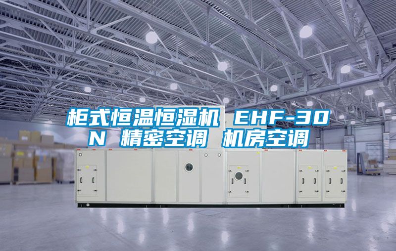 櫃式恒溫恒濕機 EHF-30N 精密空調 機房空調