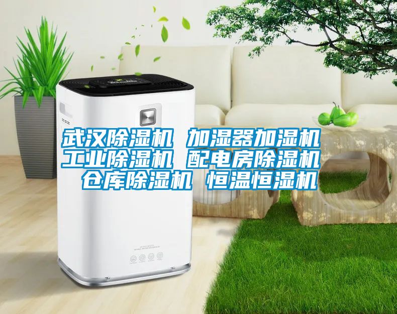 武漢麻豆视频免费看 加濕器加濕機 工業麻豆视频免费看 配電房麻豆视频免费看 倉庫麻豆视频免费看 恒溫恒濕機