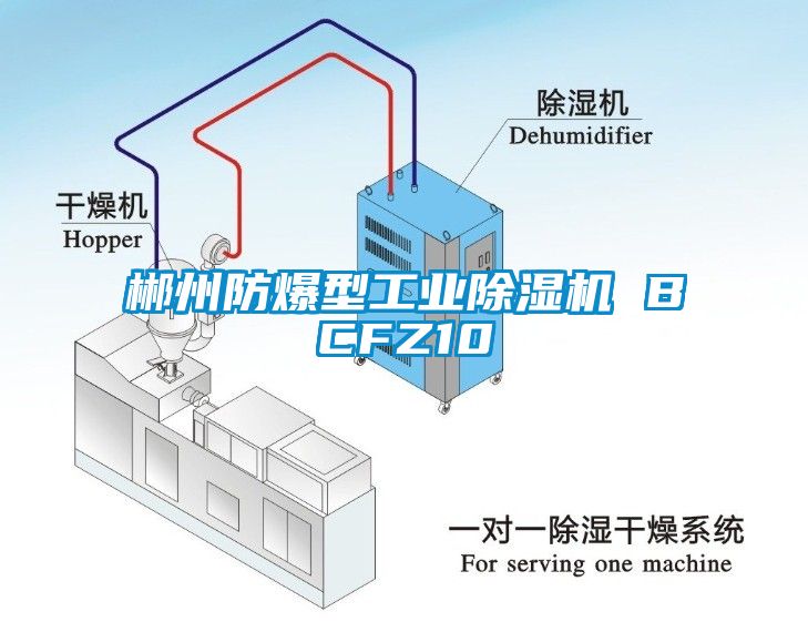 郴州防爆型工業麻豆视频免费看 BCFZ10