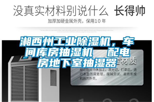 湘西州工業麻豆视频免费看，車間庫房抽濕機  配電房地下室抽濕器