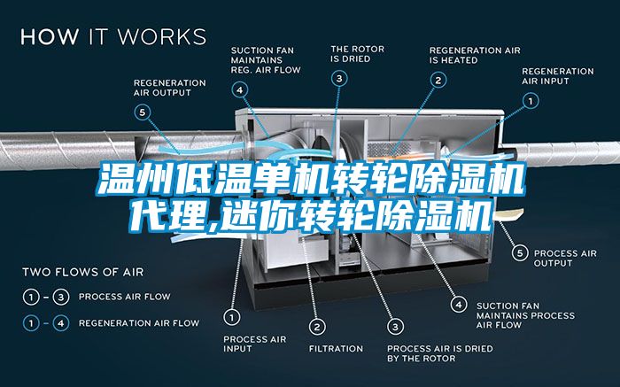 溫州低溫單機轉輪麻豆视频免费看代理,迷你轉輪麻豆视频免费看