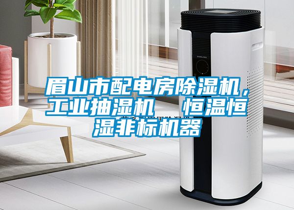 眉山市配電房麻豆视频免费看，工業抽濕機  恒溫恒濕非標機器