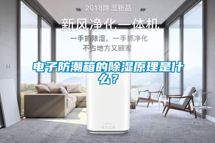 電子防潮箱的除濕原理是什麽？