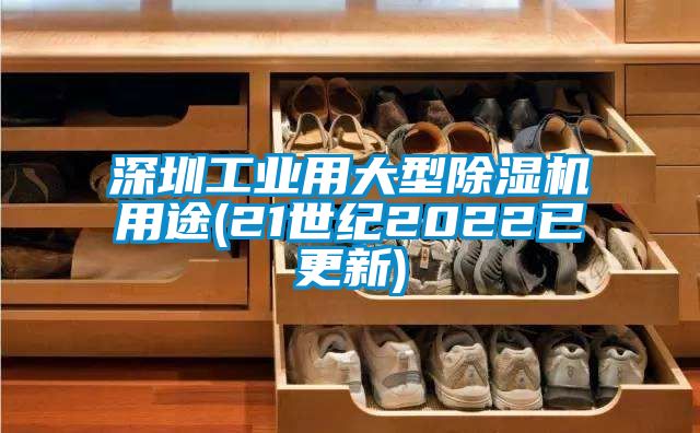 深圳工業用大型麻豆视频免费看用途(21世紀2022已更新)