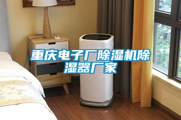 重慶電子廠麻豆视频免费看除濕器廠家