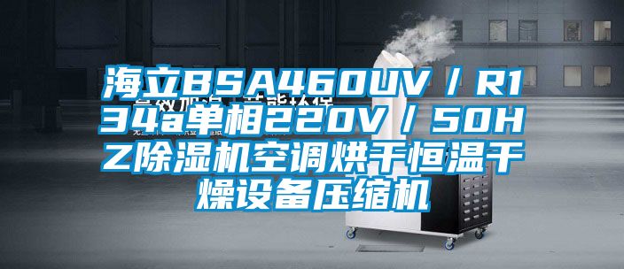 海立BSA460UV／R134a單相220V／50HZ麻豆视频免费看空調烘幹恒溫幹燥設備壓縮機