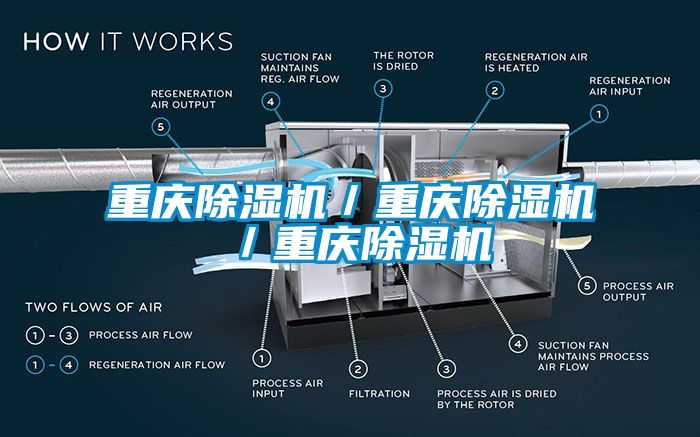 重慶麻豆视频免费看／重慶麻豆视频免费看／重慶麻豆视频免费看