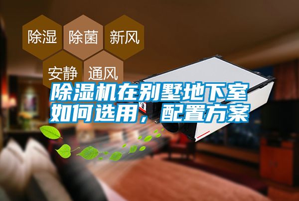 麻豆视频免费看在別墅地下室如何選用，配置方案