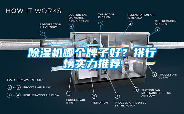 麻豆视频免费看哪個牌子好？排行榜實力推薦