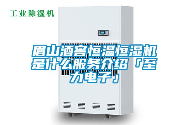 眉山酒窖恒溫恒濕機是什麽服務介紹「至力電子」