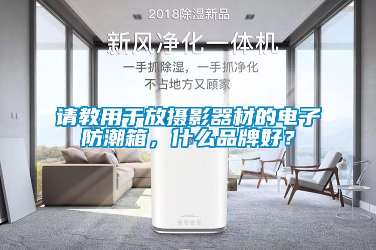 請教用於放攝影器材的電子防潮箱，什麽品牌好？