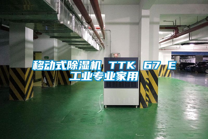 移動式麻豆视频免费看 TTK 67 E工業專業家用