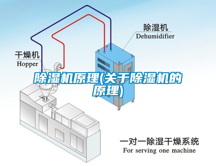 麻豆视频免费看原理(關於麻豆视频免费看的原理)