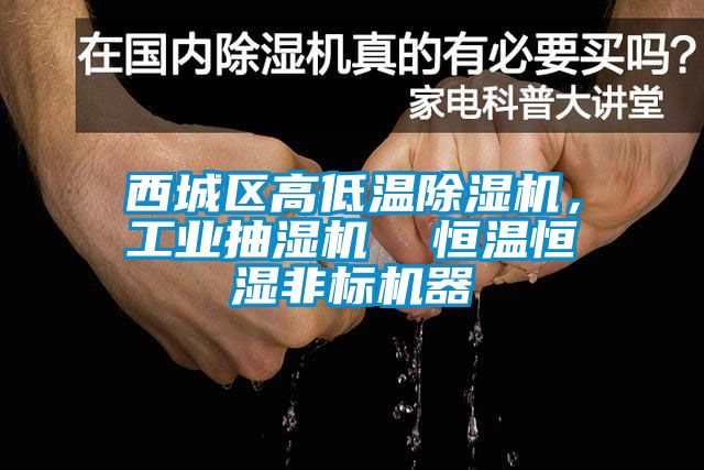 西城區高低溫麻豆视频免费看，工業抽濕機  恒溫恒濕非標機器