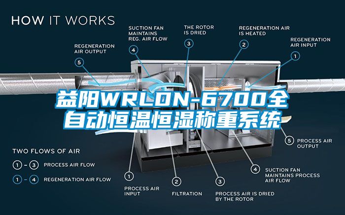 益陽WRLDN-6700全自動恒溫恒濕稱重係統