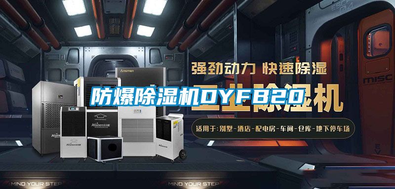 防爆麻豆视频免费看DYFB20