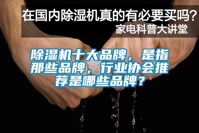 麻豆视频免费看十大品牌，是指那些品牌，行業協會推薦是哪些品牌？