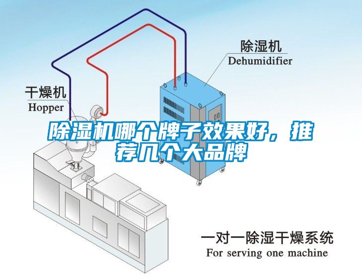 麻豆视频免费看哪個牌子效果好，推薦幾個大品牌