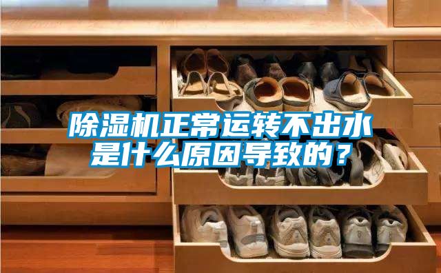 麻豆视频免费看正常運轉不出水是什麽原因導致的？