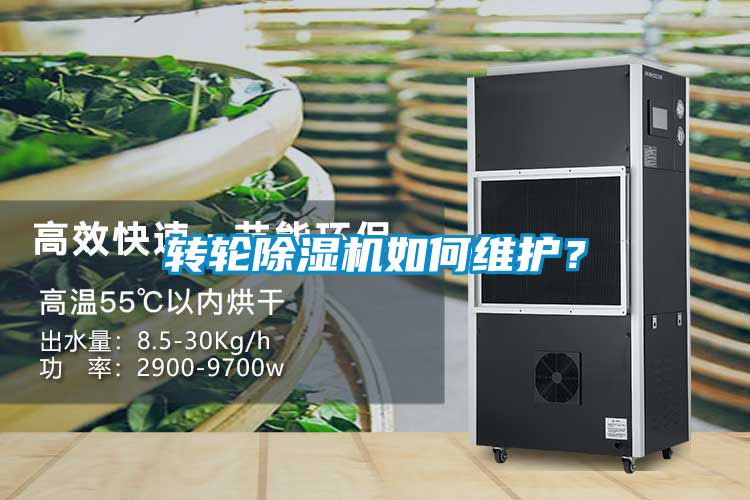 轉輪麻豆视频免费看如何維護？