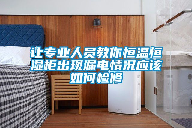 讓專業人員教你恒溫恒濕櫃出現漏電情況應該如何檢修