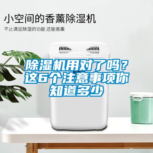 麻豆视频免费看用對了嗎？這6個注意事項你知道多少