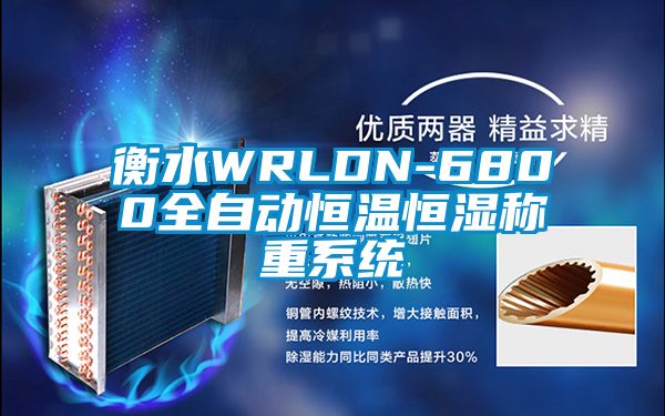 衡水WRLDN-6800全自動恒溫恒濕稱重係統