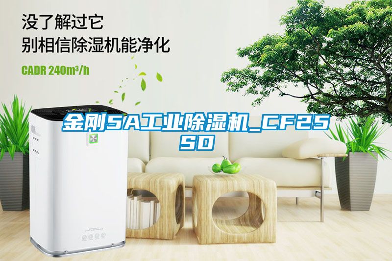 金剛5A工業麻豆视频免费看_CF25SD