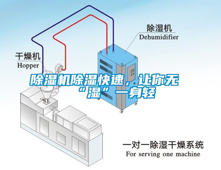 麻豆视频免费看除濕快速，讓你無“濕”一身輕