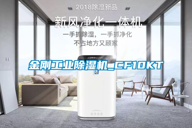 金剛工業麻豆视频免费看_CF10KT