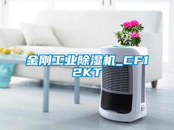 金剛工業麻豆视频免费看_CF12KT