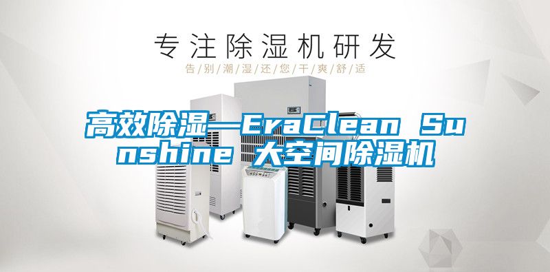 高效除濕—EraClean Sunshine 大空間麻豆视频免费看