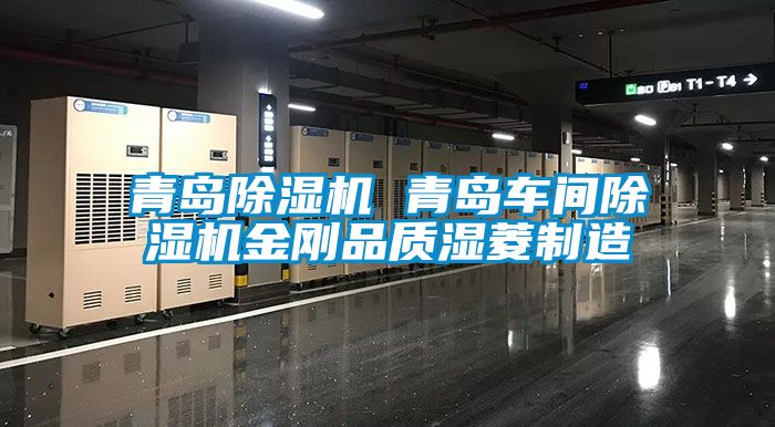 青島麻豆视频免费看 青島車間麻豆视频免费看金剛品質濕菱製造