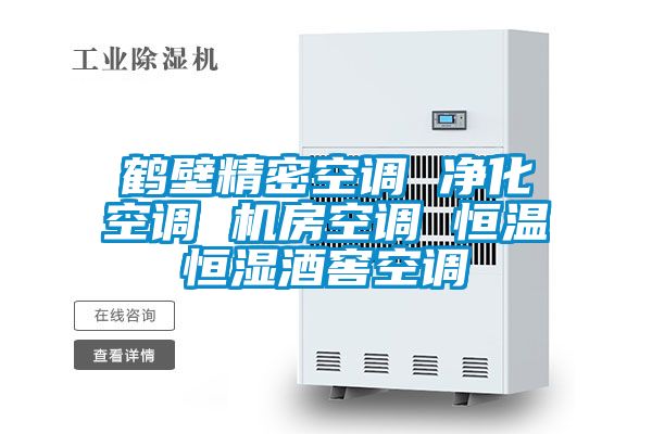 鶴壁精密空調 淨化空調 機房空調 恒溫恒濕酒窖空調