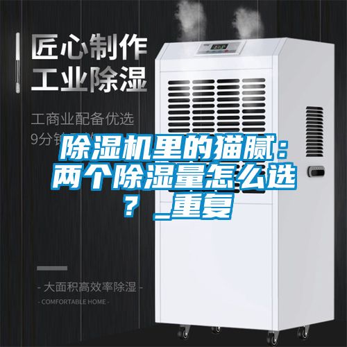 麻豆视频免费看裏的貓膩：兩個除濕量怎麽選？_重複