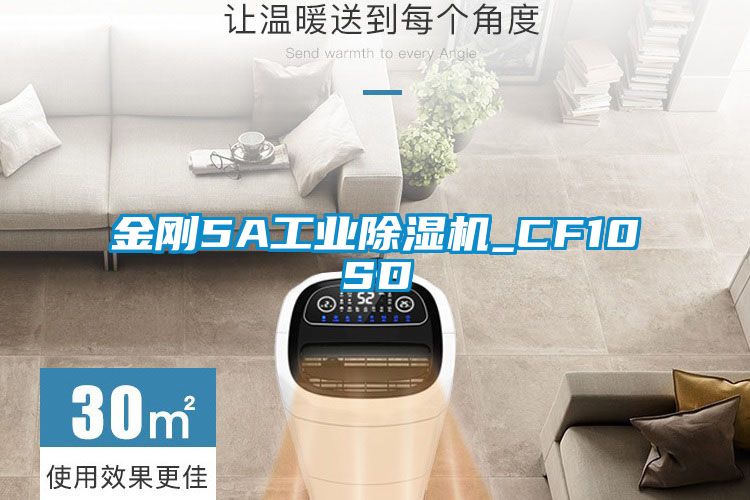 金剛5A工業麻豆视频免费看_CF10SD